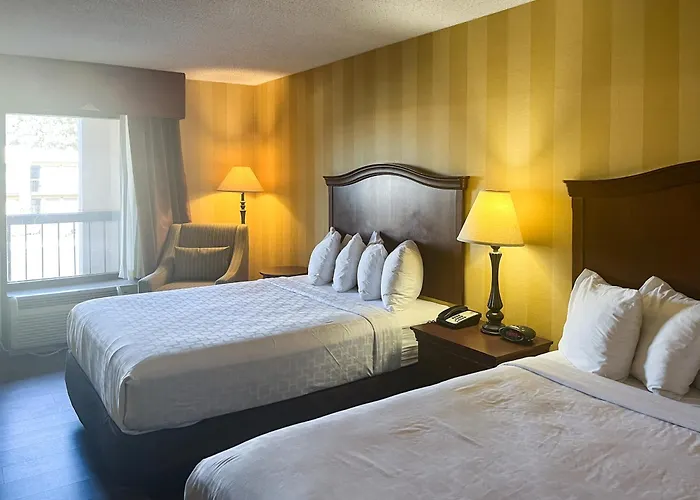 Motel 6 Stafford, Va Quantico