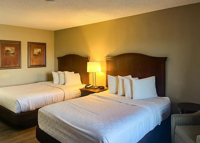Motel 6 Stafford, Va Quantico